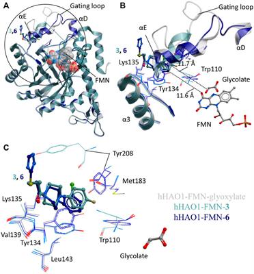 Novel Starting Points for Human Glycolate Oxidase Inhibitors, Revealed by Crystallography-Based Fragment Screening